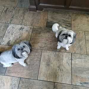 Meet your Posher, Babette